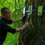 Can plants have consciousness? The film Silent Friend reimagines the science