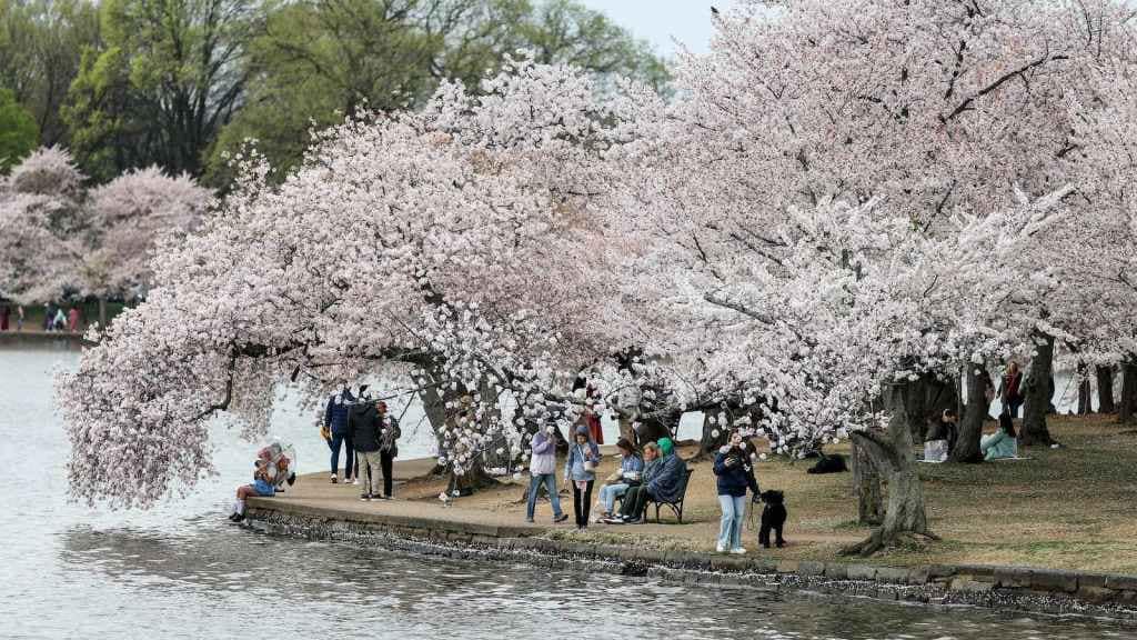 The year so far: hottest and driest in U.S. history