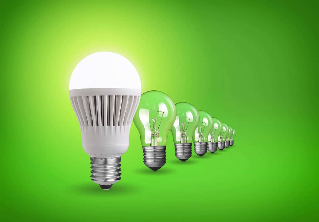 LED light bulbs save money and energy
