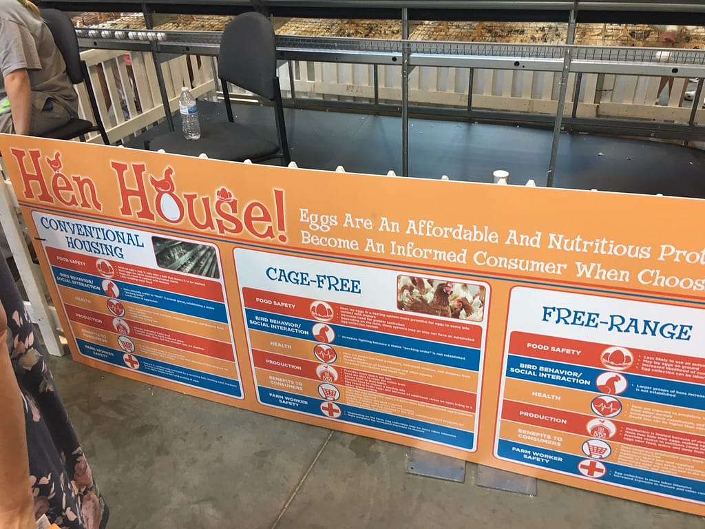 Getting eggs from chickens: conventional housing versus cage-free versus free-range