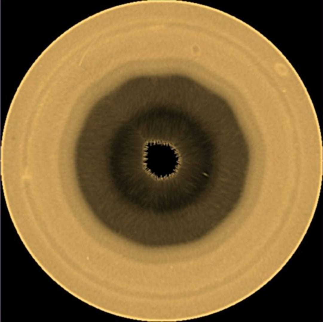 Scientists discover a mysterious wave shaped like a decagon in Saturn's atmosphere