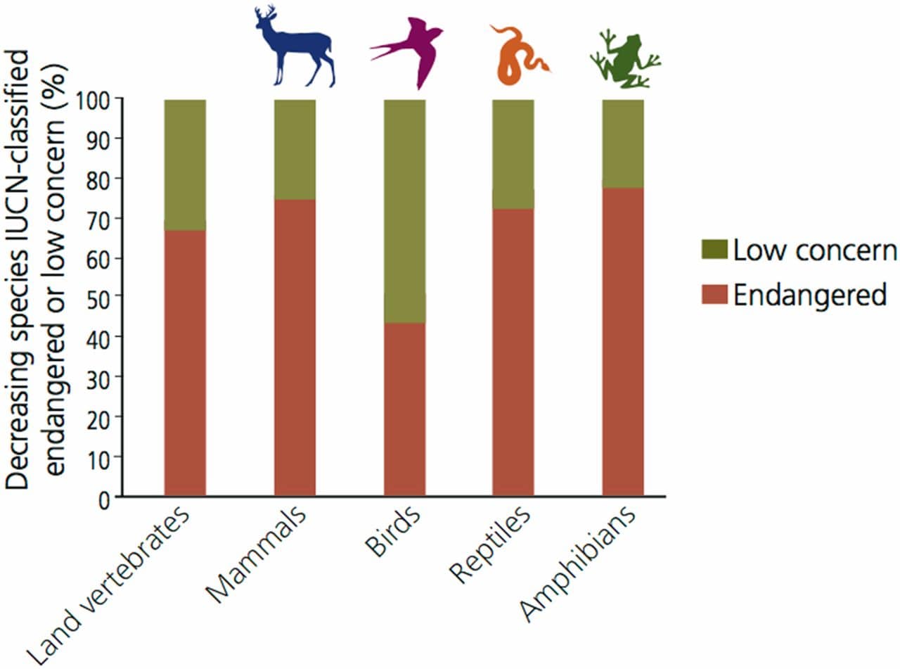 The sixth mass extinction on Earth - Strategian: Science Magazine