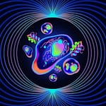 Why ‘quantum proteins’ could be the next big thing in biology