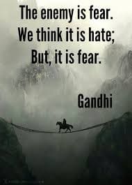 "The enemy is fear. We think it is hate; But, it is fear." Gandhi