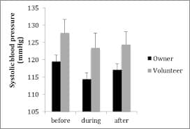 Cat attachment and effect on human health
