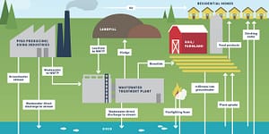 PFAS cycle
