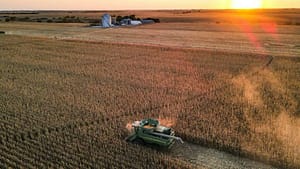 How a Bush-era ‘green’ solution made climate change worse