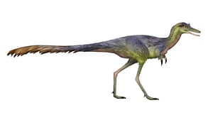 This dino’s fossil claw suggests it snatched eggs, not insects