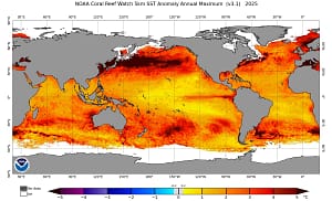 Ocean Temperatures Just Hit a Dire New Record