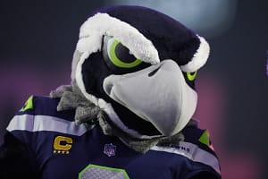 Are seahawks real? The science behind Seattle's Super Bowl team