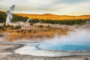 Yellowstone’s earthquakes spark microbial boom deep underground