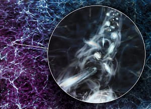 Astronomers spot one of the largest spinning structures in the universe