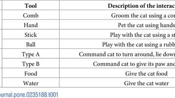 Ways to play with cats (in this study)