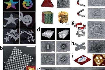 DNA origami objects