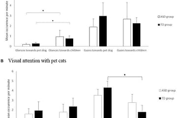 Visual attention patterns dogs and cats