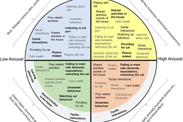 Cat-human activities related to human well-being