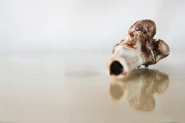 Bone marrow may have been more important to early humans than meat