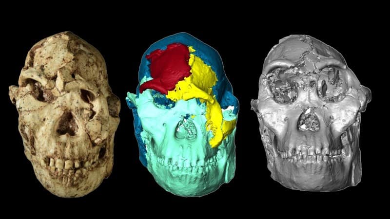 The ancient human ancestor ‘Little Foot’ gets a new face