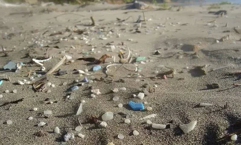 A beach with plastic debris scattered on the sand.